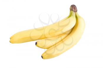 Food Related: Bunch of Bananas isolated on White Background