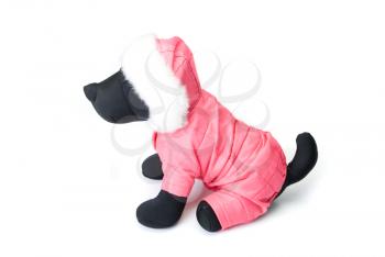 Dogs clothing at the dummy isolated on a white