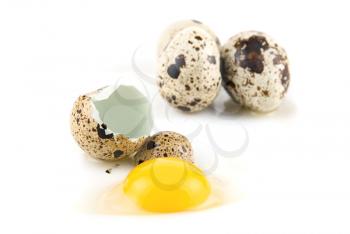 quail  eggs isolated on white background