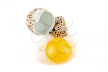 broken egg quail isolated on white background