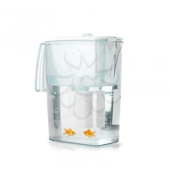 Royalty Free Photo of Goldfish in a Water Pitcher
