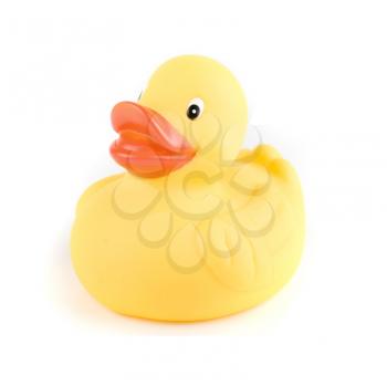 Royalty Free Photo of a Yellow Rubber Duck