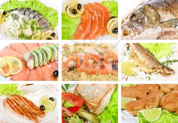 Royalty Free Photo of a Set of Different Fish Dishes