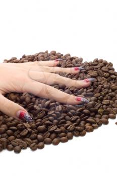 Royalty Free Photo of a Hand Holding Coffee Beans
