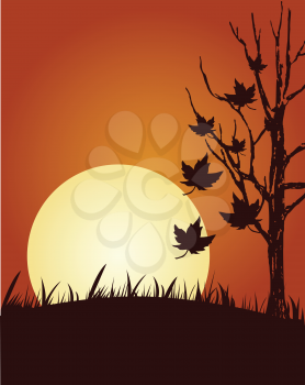 Abstract vector illustration of autumn background