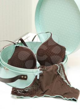 Brown seductive lingerie in blue present box