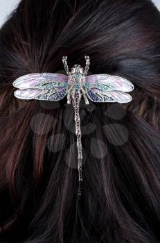 Woman coiffure with dragonfly hairpin close up