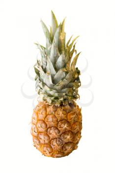 Fresh pineapple isolate on a white background