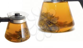 Set of glass teapot with Lotus Flower Chinese tea on white