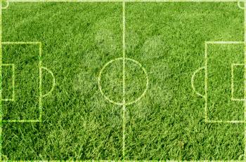 Soccer green grass field background