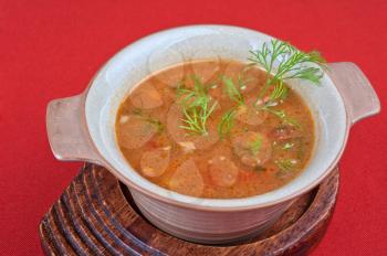 cabbage soup - tasty dish on red background