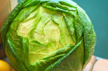 fresh ripe cabbage closeup photo