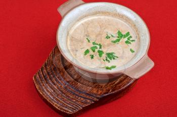 Mushroom cream  soup on red background