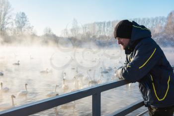 Man at winter nonfreezing lake with white whooping swans. The place of wintering of swans, Altay, Siberia, Russia.