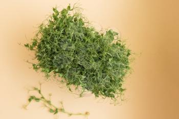 Micro greens sprouts of peas on beige background. Concept of superfood and healthy organic food