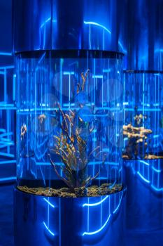 Interior photo in the oceanarium