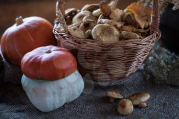 Still life from autumn nature gifts. mushrooms and vegetables