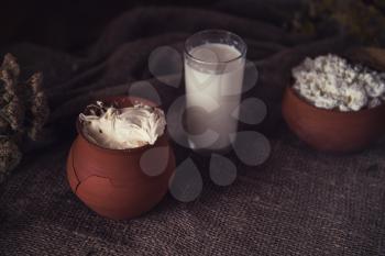 Organic milk cottage cheese and sour cream in vintage dish on rustic background