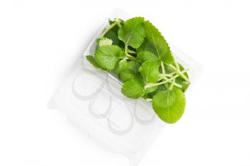 Mint in plastic bag isolated on a white background
