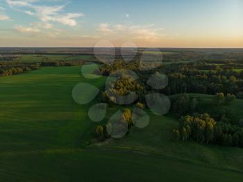 Top aerial view of green fields and meadows in evening summer. Landscape with drone in Altai