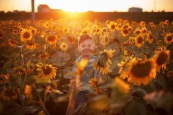 Portrait of beautiful blond kid boy on summer sunflower field outdoors. Cute school child having fun on warm summer evening at sunset.