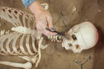 Human fossil discovered concept. Woman hand is using brush to sweep artificial bones fossil in sand.