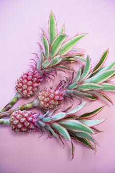 Pineappless flowers on pinlk paper background