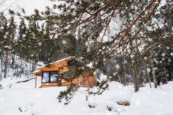 Winter holiday house in forest. Clean air, rest and relaxation. Unity with nature.