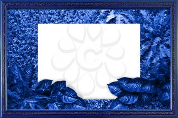 Classic blue color background from leaves and white blank for your design or text. Pantone color of the year 2020.