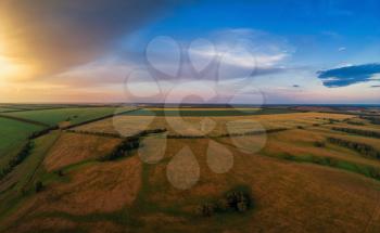 Aerial view on the field during sunset. Agricultural landscape from drone.