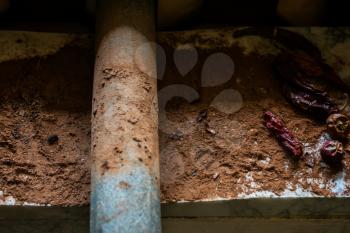 Grinding cacao beans with chili peppers to make chocolate by stone rolling pin on stone surface. hand made chocolate.