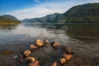 Vertical photoof Teletskoye lake in Altai mountains, Siberia, Russia. Beauty summer morning.