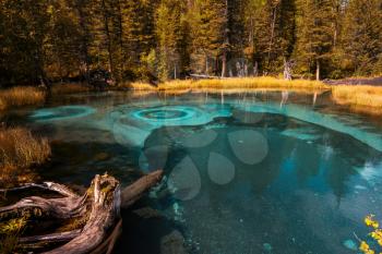 Beautiful Geyser lake with thermal springs that periodically throw blue clay and silt from the ground. Altai mountains, Russia