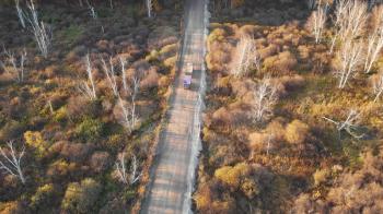 Aerial view of truck on the road in beautiful autumn Altai forest. Beautiful landscape with truck on rural road, golden autumn in altai: trees with red, yellow and orange leaves.