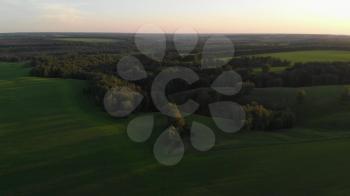 4K aerial of flying over a beautiful green meadow in a rural landscape, in Altai