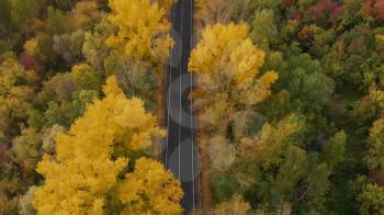 Aerial video of road in beautiful autumn Altai forest. Beautiful landscape with rural road, golden autumn in Altai: trees with red, yellow and orange leaves.
