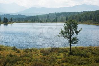 Lake Kidelyu in the Altai Mountains, Siberia