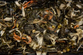 Chuka wakame laminaria seaweed salad with fish in plastic bowles. Concept of healthy food production or delivery food
