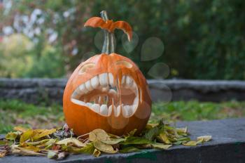 Halloween pumpkin on leaves background