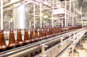 Beer bottles on the conveyor belt 
