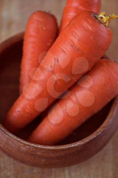Fresh harvest of ripe carrots. Nature concept.