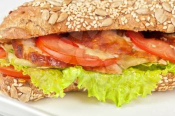Big sandwich closeup with meat and vegetables