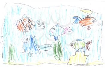 Kid's drawing - fishes - made by child
