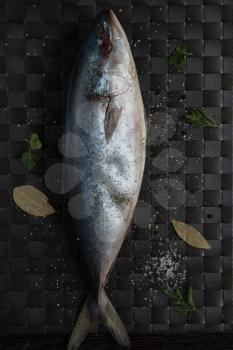 raw tuna fish with salt and spices on black background