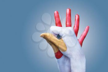 Woman colored hands as rooster figure on grey backround. For example to illustrate the year of the rooster.