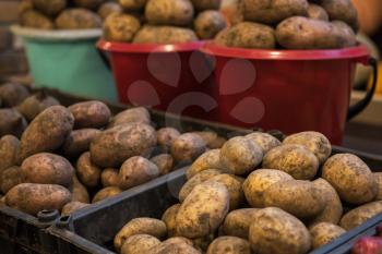 Fresh potato at marketplace, closeup