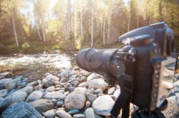 Camera with telephoto lens on a tripod takes photo at nature