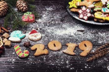 Different ginger cookies for new 2019 year holiday on wooden background, xmas theme