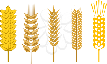 Royalty Free Clipart Image of Cereal Grains