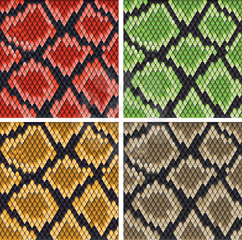 Royalty Free Clipart Image of Snake Backgrounds